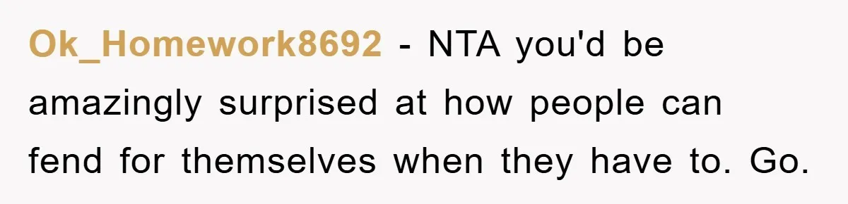 Ok_Homework8692 − NTA you'd be amazingly surprised at how people can fend for themselves when they have to. Go.