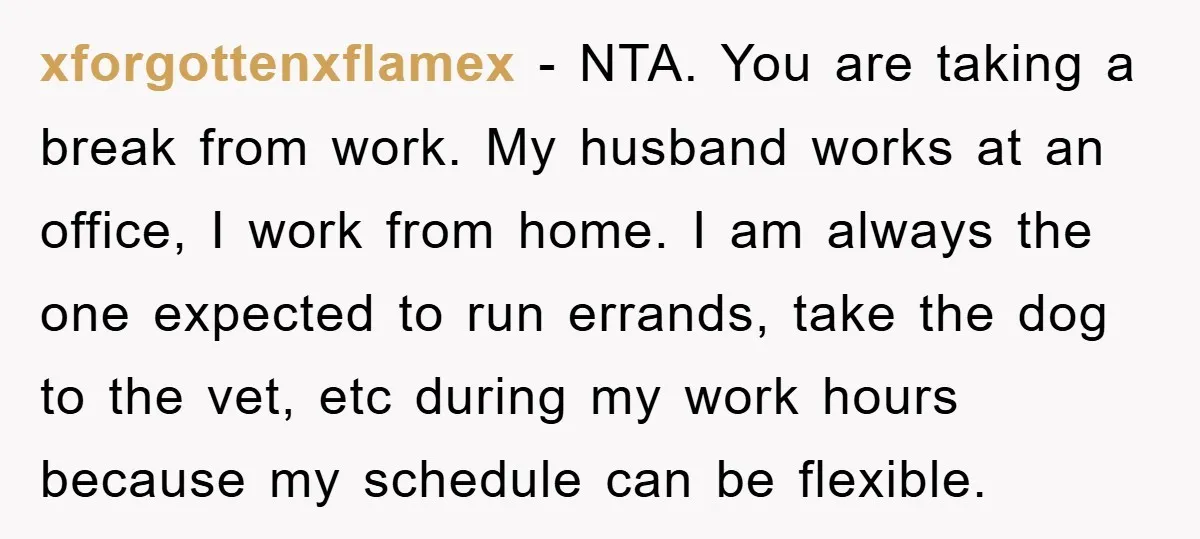 xforgottenxflamex − NTA. You are taking a break from work. My husband works at an office, I work from home. I am always the one expected to run errands, take...