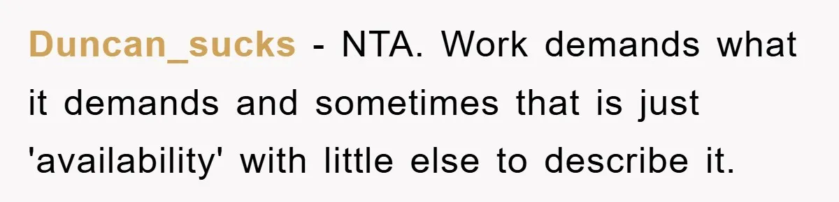Duncan_sucks − NTA. Work demands what it demands and sometimes that is just 'availability' with little else to describe it.