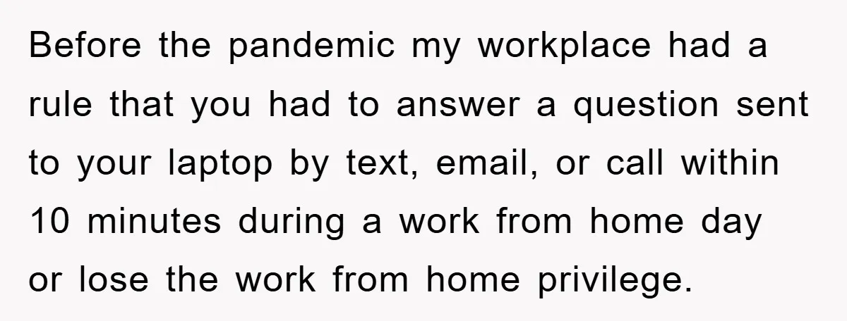 Before the pandemic my workplace had a rule that you had to answer a question sent to your laptop by text, email, or call within 10 minutes during a work...