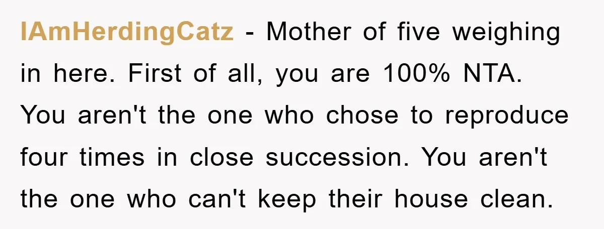 IAmHerdingCatz − Mother of five weighing in here. First of all, you are 100% NTA. You aren't the one who chose to reproduce four times in close succession. You aren't...