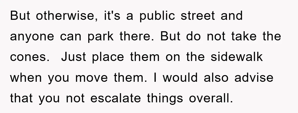 But otherwise, it's a public street and anyone can park there. But do not take the cones. Just place them on the sidewalk when you move them. I would also...