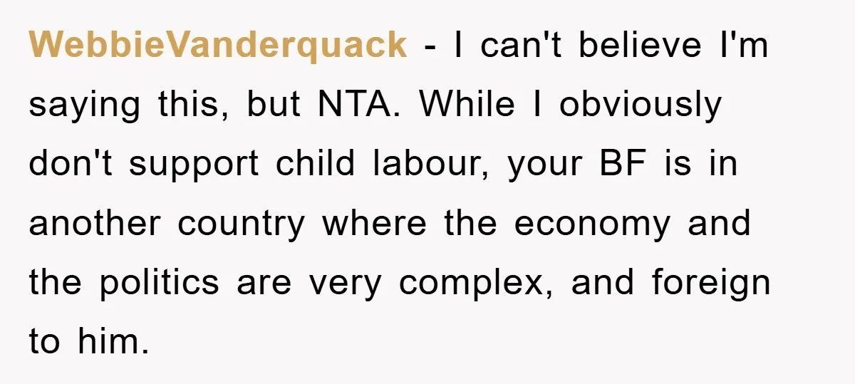 WebbieVanderquack − I can't believe I'm saying this, but NTA. While I obviously don't support child labour, your BF is in another country where the economy and the politics are...