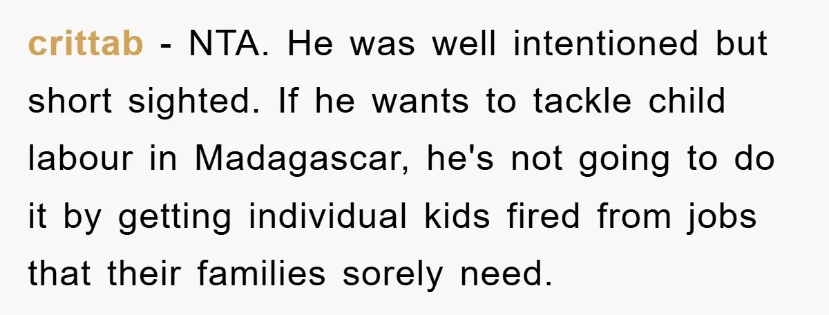 crittab − NTA. He was well intentioned but short sighted. If he wants to tackle child labour in Madagascar, he's not going to do it by getting individual kids fired...
