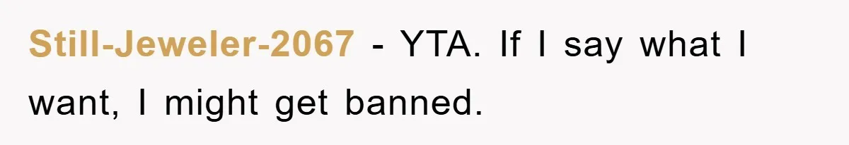 Still-Jeweler-2067 − YTA. If I say what I want, I might get banned.