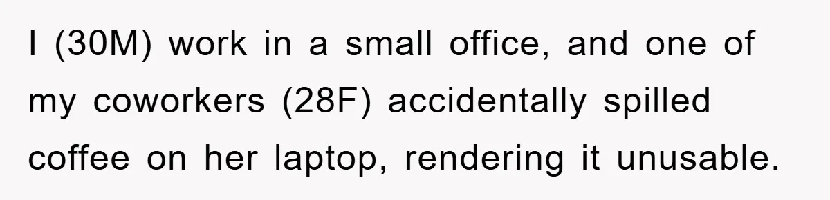 I (30M) work in a small office, and one of my coworkers (28F) accidentally spilled coffee on her laptop, rendering it unusable.