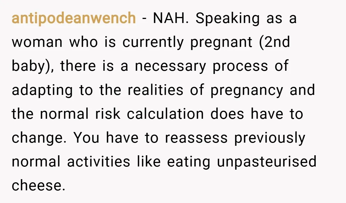 antipodeanwench − NAH. Speaking as a woman who is currently pregnant (2nd baby), there is a necessary process of adapting to the realities of pregnancy and the normal risk calculation...