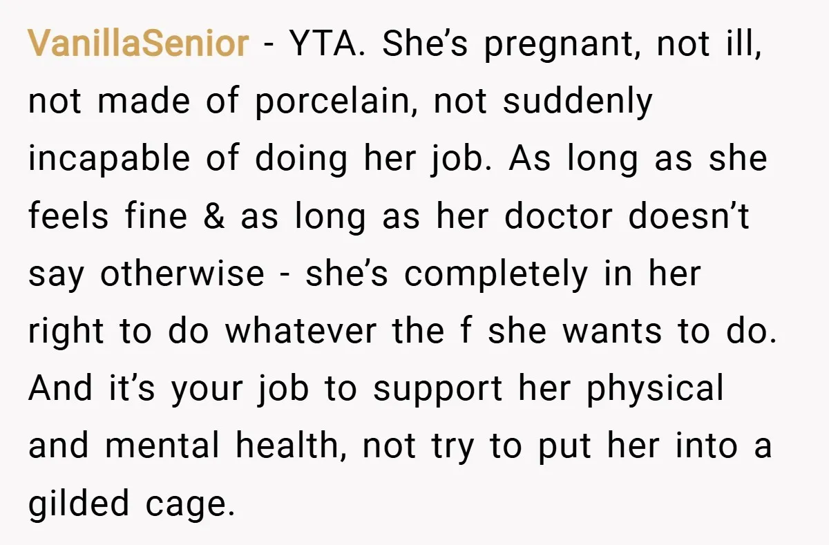 VanillaSenior − YTA. She’s pregnant, not ill, not made of porcelain, not suddenly incapable of doing her job. As long as she feels fine & as long as her doctor...
