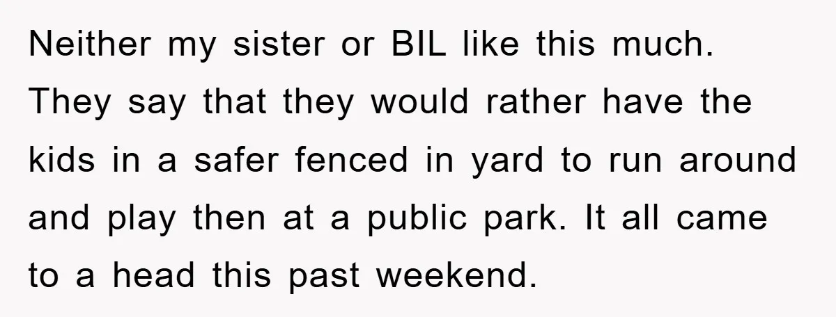 Neither my sister or BIL like this much. They say that they would rather have the kids in a safer fenced in yard to run around and play then at...