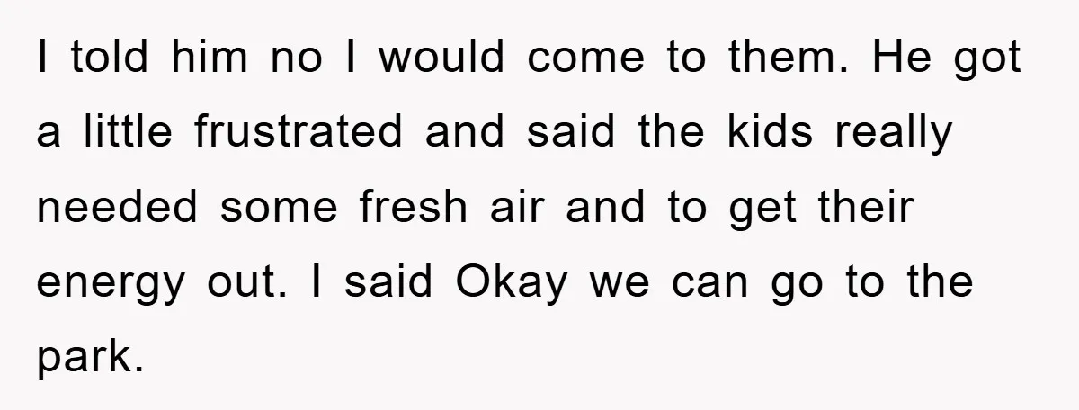 I told him no I would come to them. He got a little frustrated and said the kids really needed some fresh air and to get their energy out. I...
