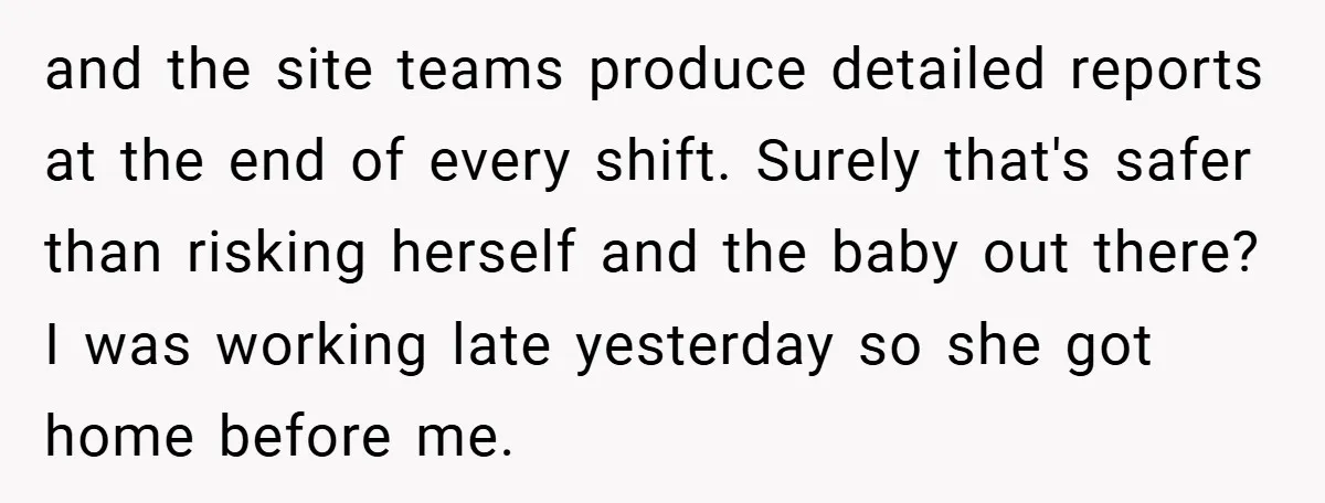 and the site teams produce detailed reports at the end of every shift. Surely that's safer than risking herself and the baby out there? I was working late yesterday so...
