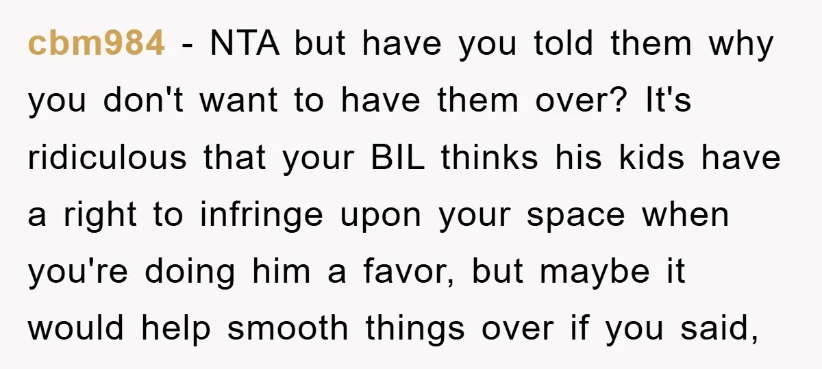 cbm984 − NTA but have you told them why you don't want to have them over? It's ridiculous that your BIL thinks his kids have a right to infringe upon...