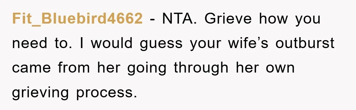 Fit_Bluebird4662 − NTA. Grieve how you need to. I would guess your wife’s outburst came from her going through her own grieving process.