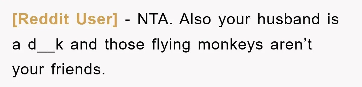 [Reddit User] − NTA. Also your husband is a d__k and those flying monkeys aren’t your friends.