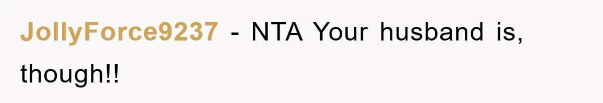 JollyForce9237 − NTA Your husband is, though!!