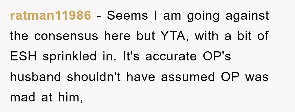 ratman11986 − Seems I am going against the consensus here but YTA, with a bit of ESH sprinkled in. It's accurate OP's husband shouldn't have assumed OP was mad at...