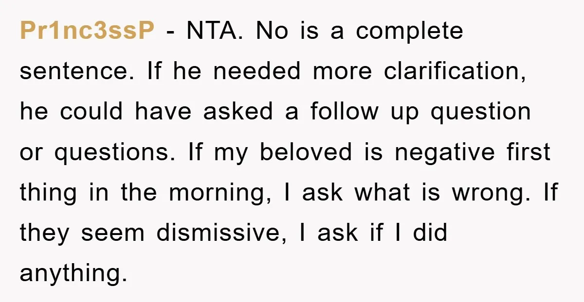 Pr1nc3ssP − NTA. No is a complete sentence. If he needed more clarification, he could have asked a follow up question or questions. If my beloved is negative first thing...
