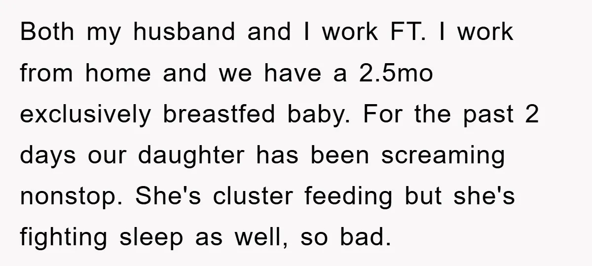 Both my husband and I work FT. I work from home and we have a 2.5mo exclusively breastfed baby. For the past 2 days our daughter has been screaming nonstop....