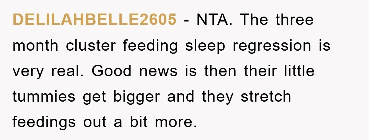 DELILAHBELLE2605 − NTA. The three month cluster feeding sleep regression is very real. Good news is then their little tummies get bigger and they stretch feedings out a bit more.