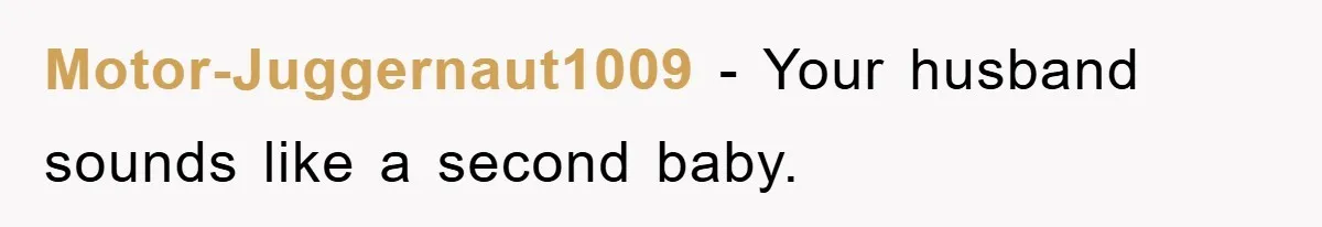 Motor-Juggernaut1009 − Your husband sounds like a second baby.