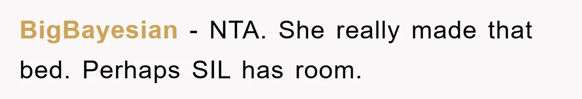 BigBayesian − NTA. She really made that bed. Perhaps SIL has room.