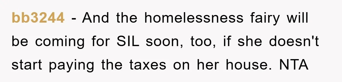 bb3244 − And the homelessness fairy will be coming for SIL soon, too, if she doesn't start paying the taxes on her house. NTA