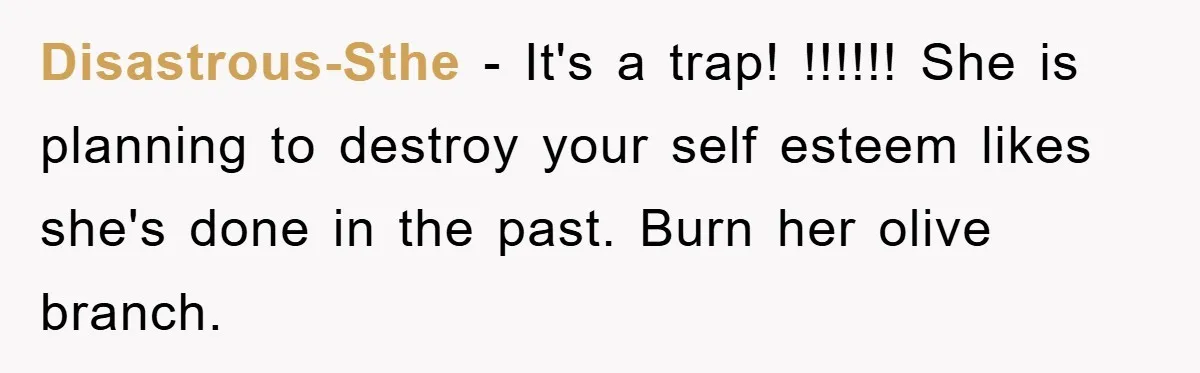 Disastrous-Sthe − It's a trap! !!!!!! She is planning to destroy your self esteem likes she's done in the past. Burn her olive branch.