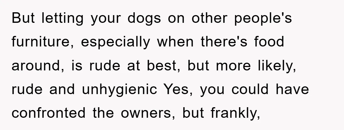 But letting your dogs on other people's furniture, especially when there's food around, is rude at best, but more likely, rude and unhygienic Yes, you could have confronted the owners,...