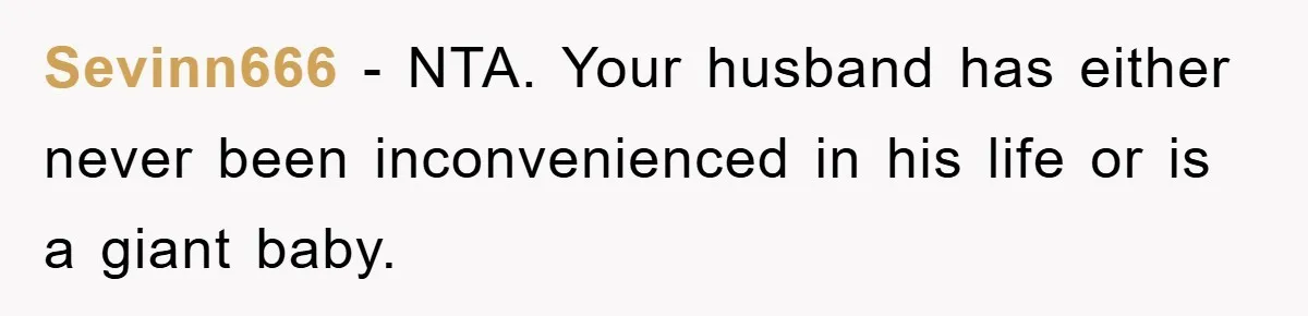 Sevinn666 − NTA. Your husband has either never been inconvenienced in his life or is a giant baby.