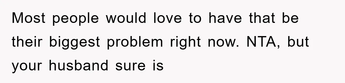 Most people would love to have that be their biggest problem right now. NTA, but your husband sure is