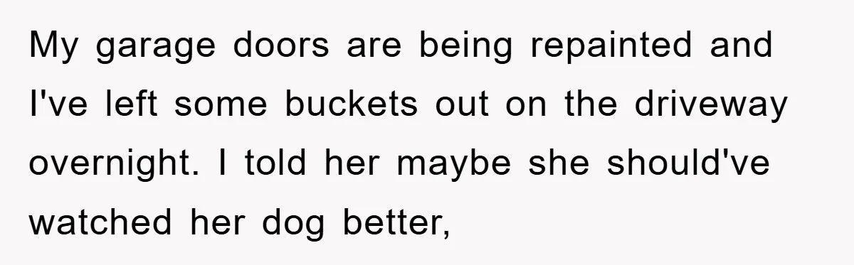 My garage doors are being repainted and I've left some buckets out on the driveway overnight. I told her maybe she should've watched her dog better,