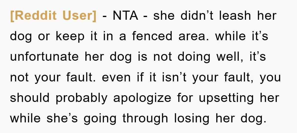 [Reddit User] − NTA - she didn’t leash her dog or keep it in a fenced area. while it’s unfortunate her dog is not doing well, it’s not your fault....