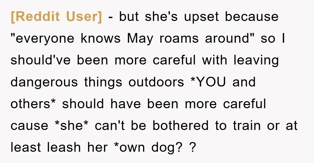 [Reddit User] − but she's upset because "everyone knows May roams around" so I should've been more careful with leaving dangerous things outdoors *YOU and others* should have been more...