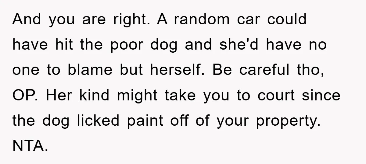 And you are right. A random car could have hit the poor dog and she'd have no one to blame but herself. Be careful tho, OP. Her kind might take...