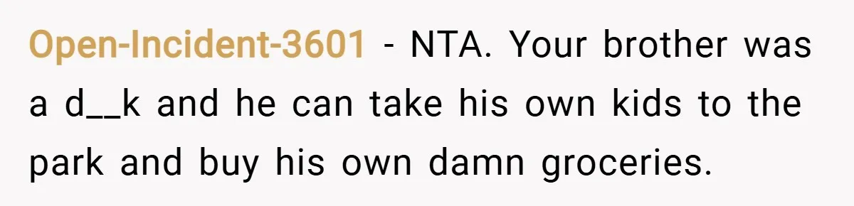 Open-Incident-3601 − NTA. Your brother was a d__k and he can take his own kids to the park and buy his own damn groceries.