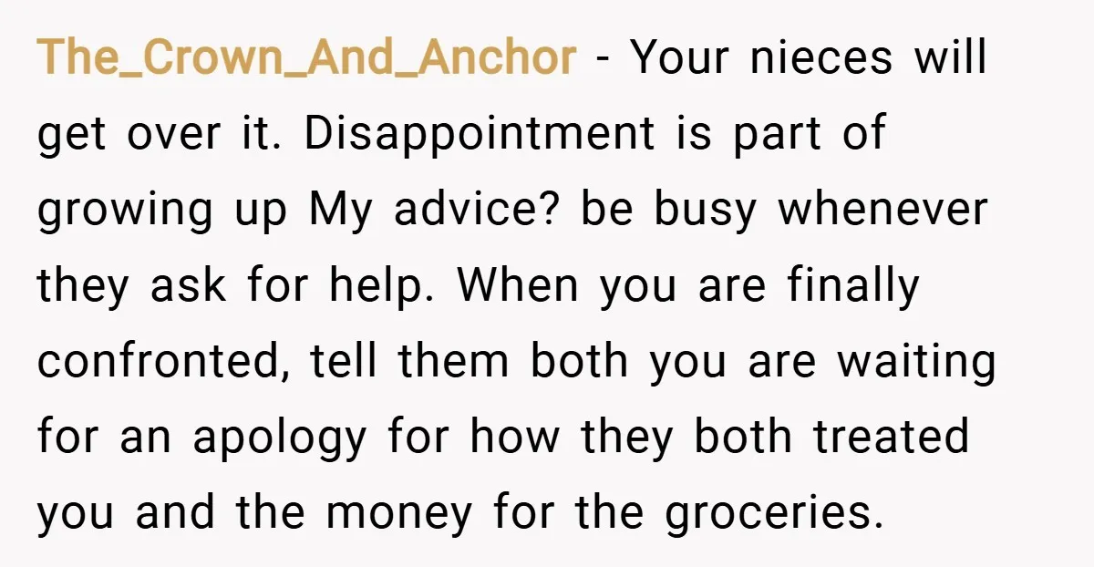 The_Crown_And_Anchor − Your nieces will get over it. Disappointment is part of growing up My advice? be busy whenever they ask for help. When you are finally confronted, tell them...