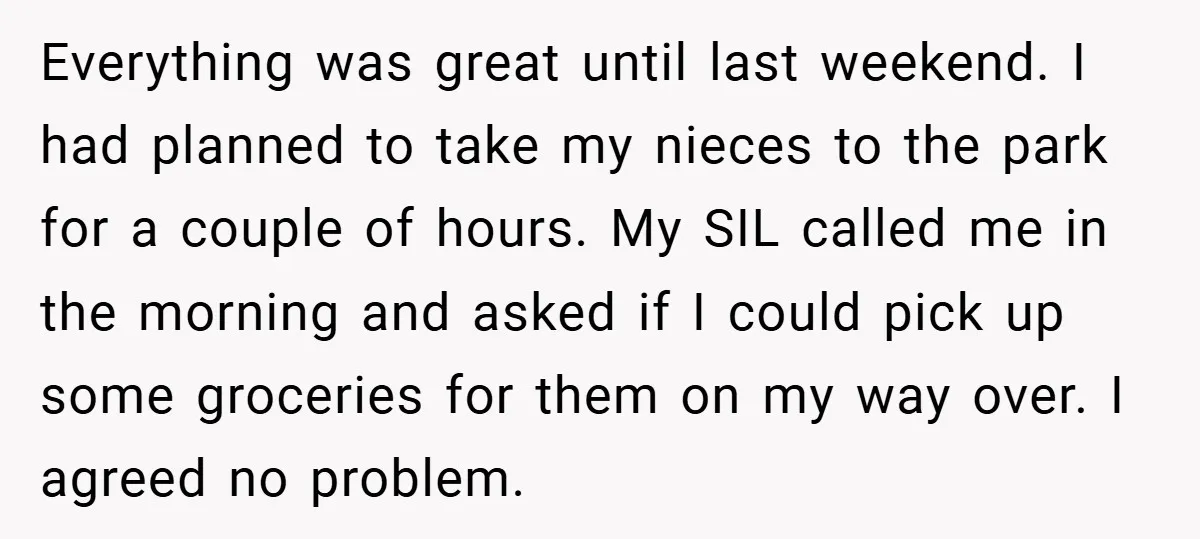 Everything was great until last weekend. I had planned to take my nieces to the park for a couple of hours. My SIL called me in the morning and asked...