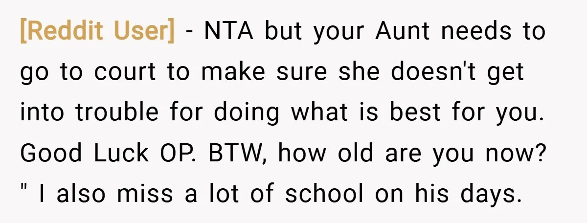 [Reddit User] − NTA but your Aunt needs to go to court to make sure she doesn't get into trouble for doing what is best for you. Good Luck OP....
