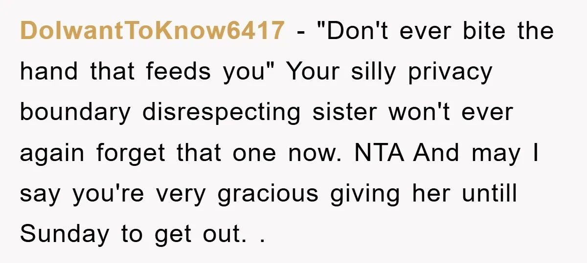 DoIwantToKnow6417 − "Don't ever bite the hand that feeds you" Your silly privacy boundary disrespecting sister won't ever again forget that one now. NTA And may I say you're very...