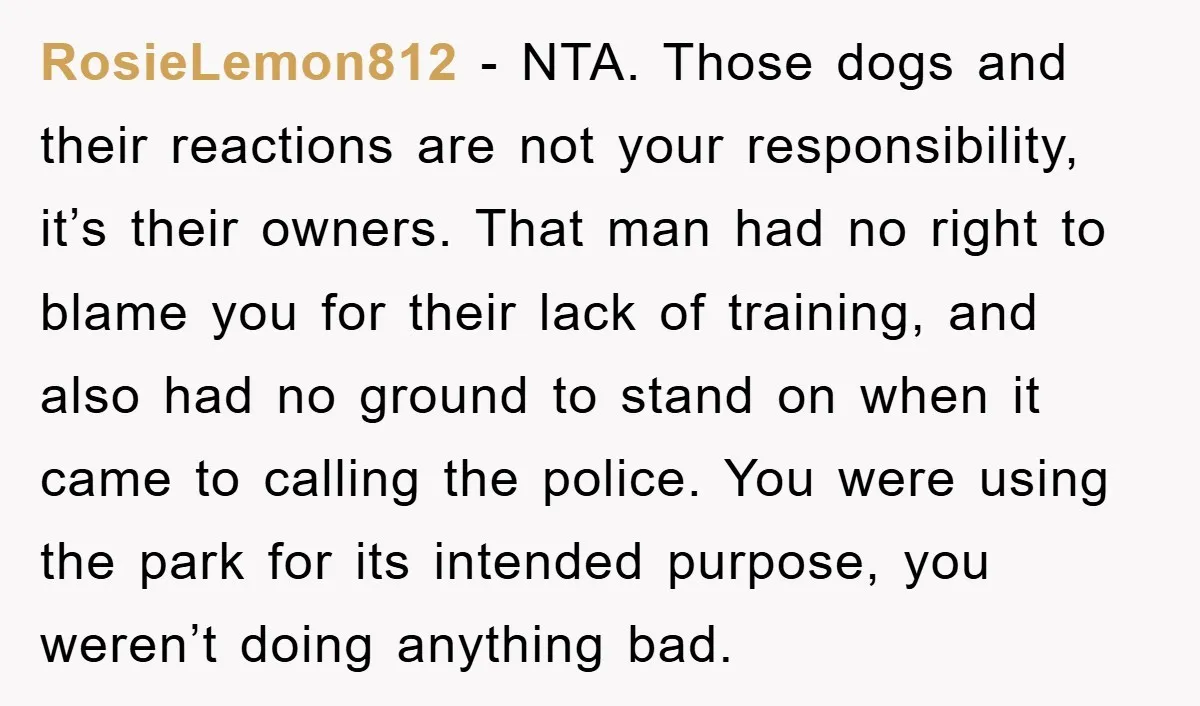 RosieLemon812 − NTA. Those dogs and their reactions are not your responsibility, it’s their owners. That man had no right to blame you for their lack of training, and also...