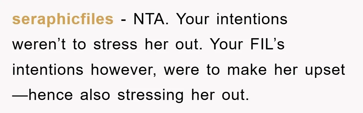 seraphicfiles − NTA. Your intentions weren’t to stress her out. Your FIL’s intentions however, were to make her upset—hence also stressing her out.