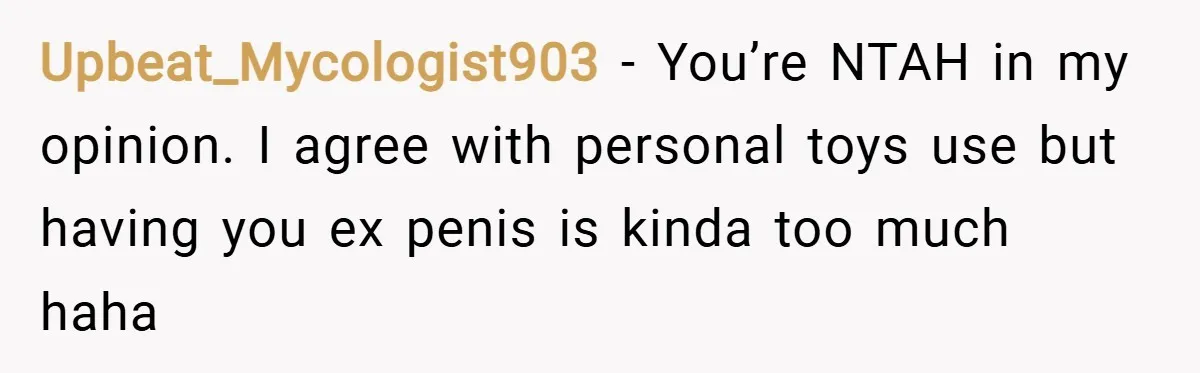 Upbeat_Mycologist903 − You’re NTAH in my opinion. I agree with personal toys use but having you ex penis is kinda too much haha