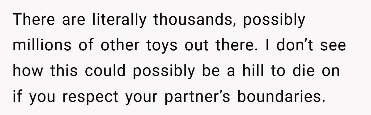 There are literally thousands, possibly millions of other toys out there. I don’t see how this could possibly be a hill to die on if you respect your partner’s boundaries.