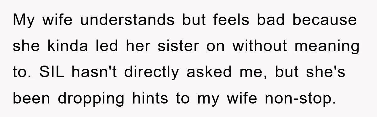 My wife understands but feels bad because she kinda led her sister on without meaning to. SIL hasn't directly asked me, but she's been dropping hints to my wife non-stop.
