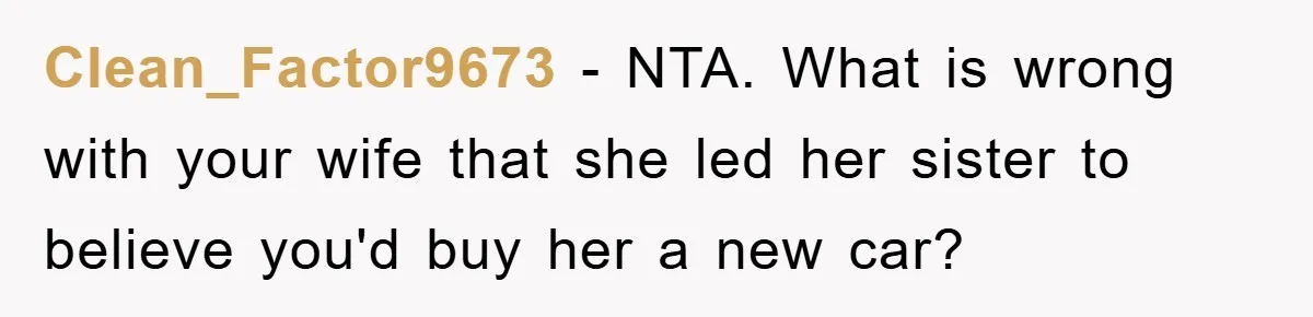 Clean_Factor9673 − NTA. What is wrong with your wife that she led her sister to believe you'd buy her a new car?