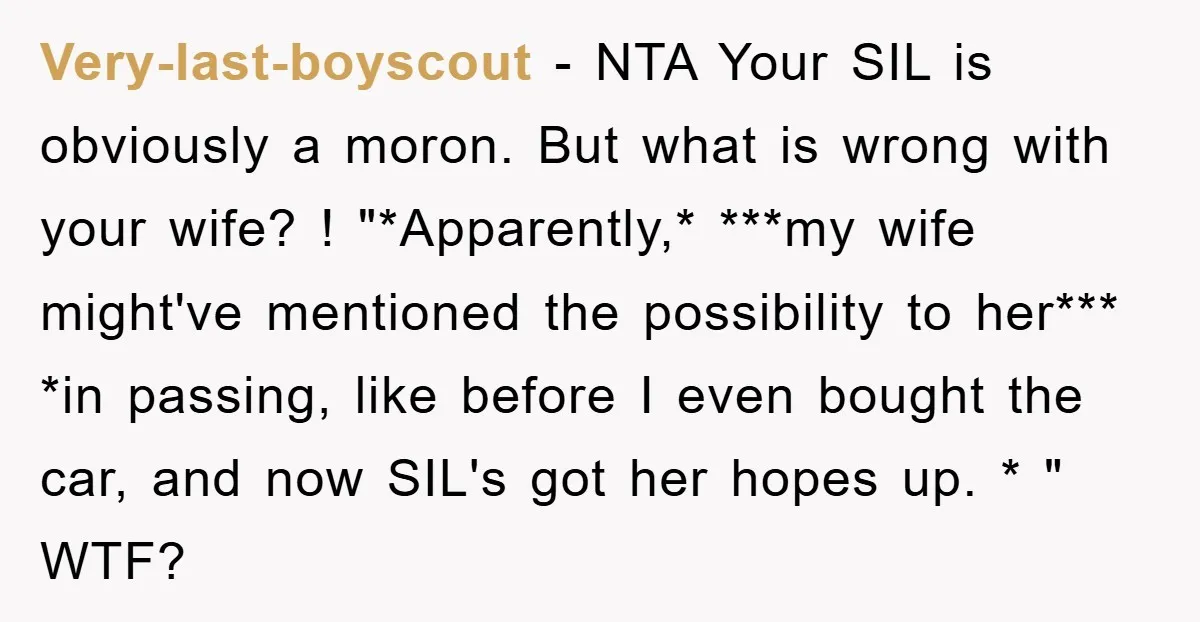 Very-last-boyscout − NTA Your SIL is obviously a moron. But what is wrong with your wife? ! "*Apparently,* ***my wife might've mentioned the possibility to her*** *in passing, like before...
