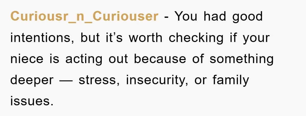 Curiousr_n_Curiouser − You had good intentions, but it’s worth checking if your niece is acting out because of something deeper — stress, insecurity, or family issues.