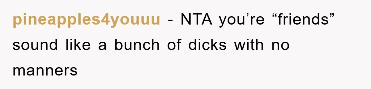 pineapples4youuu − NTA you’re “friends” sound like a bunch of dicks with no manners