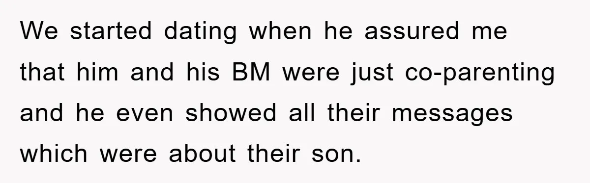 We started dating when he assured me that him and his BM were just co-parenting and he even showed all their messages which were about their son.