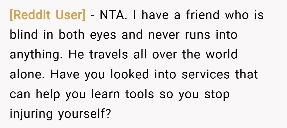 [Reddit User] − NTA. I have a friend who is blind in both eyes and never runs into anything. He travels all over the world alone. Have you looked into...
